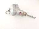 Thermometer PT100 (-200-450°C)