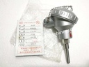 WZP-138 Thermocouple